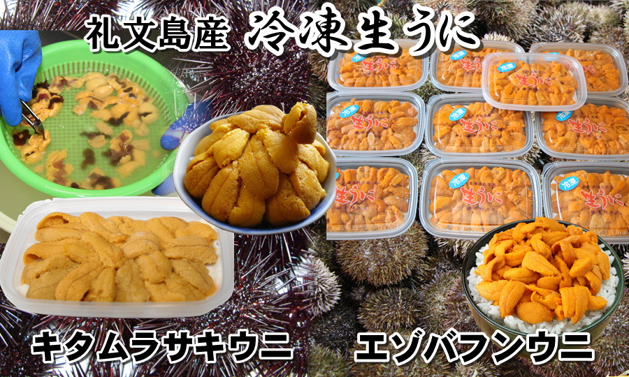 礼文利尻 ウニ アワビ 野崎水産 本店通販【礼文島】