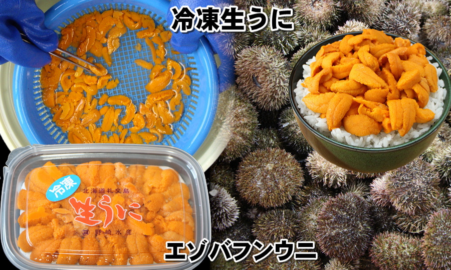 冷凍生ウニ通販 ㋵野崎水産