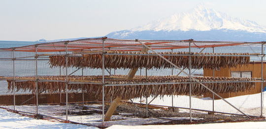 棒鱈通販 野崎水産